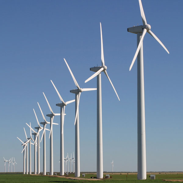texas windfarm
