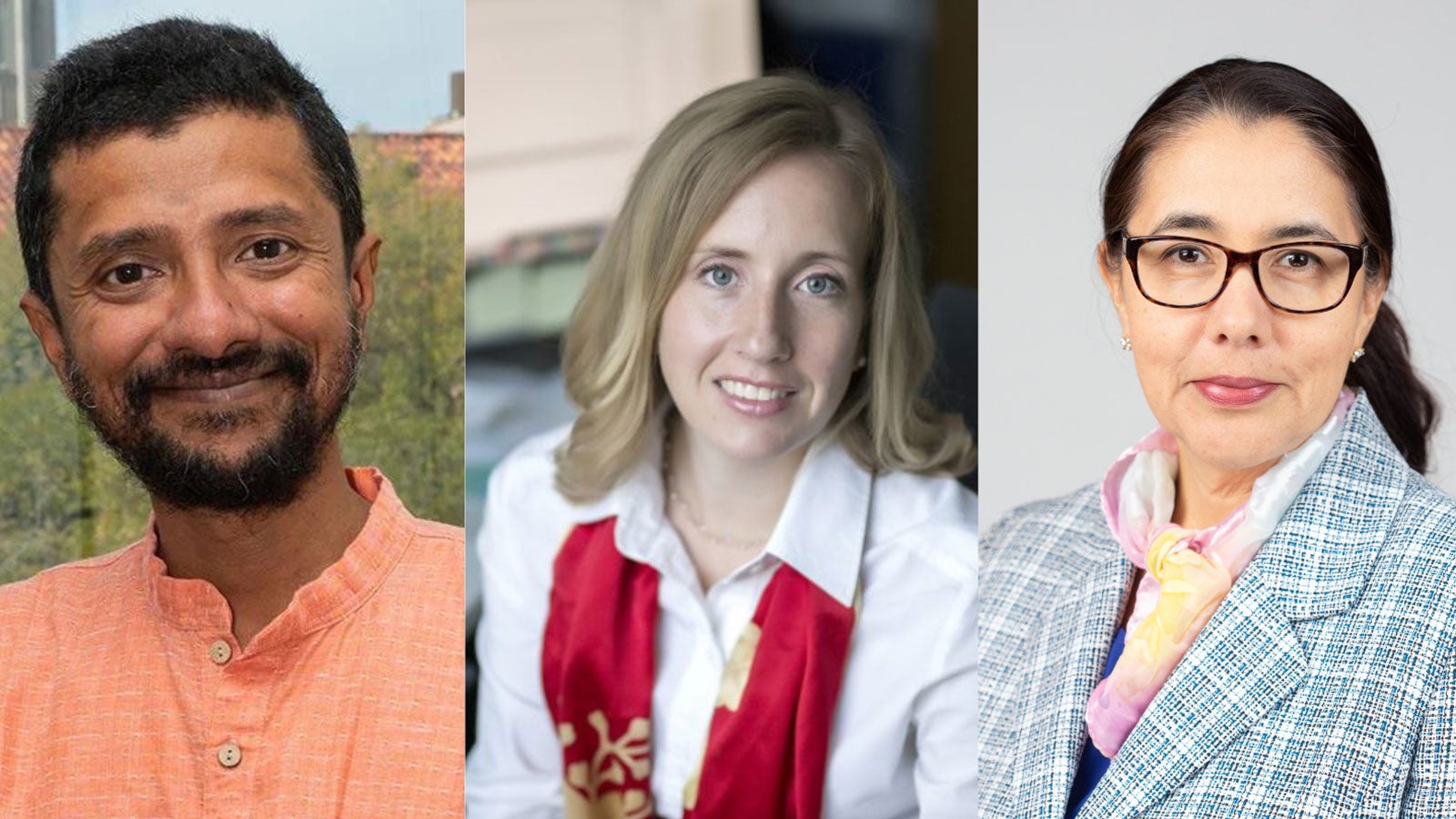 Ashok Veeraraghavan, Cynthia Reinhart-King and Karen Lozano