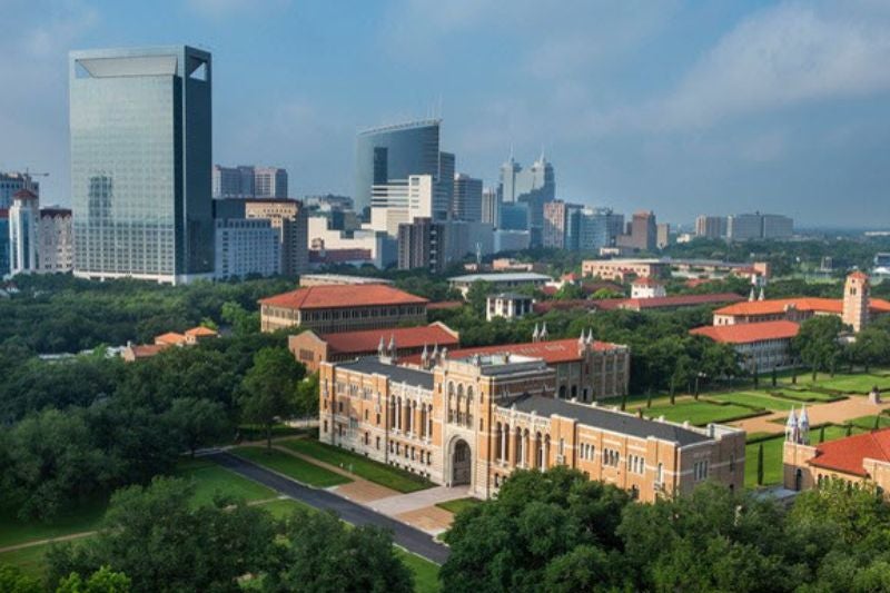Rice University