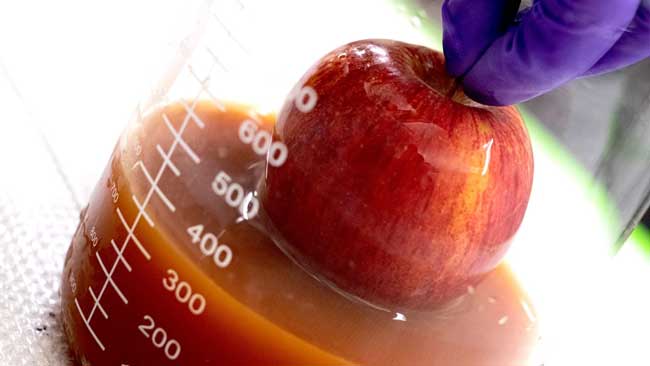 A coating developed at Rice University made primarily with protein from eggs that would otherwise be wasted can be used to extend the freshness of produce.