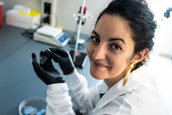 Christina Tringides