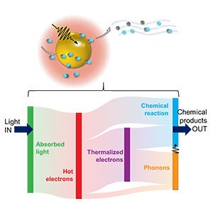 Energy flow diagram for photocatalysis