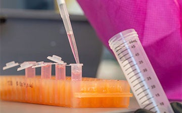 King lab lotus-inspired research