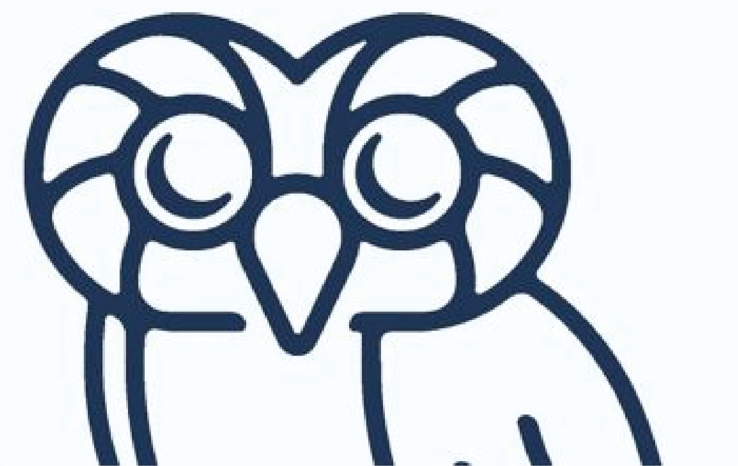 Rice Owl