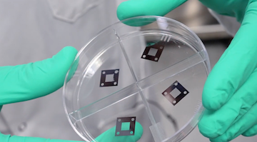 quantum materials