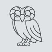 Rice Owl