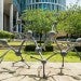 BioScience Research Collaborative